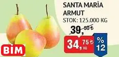 ARMUT SANTA MARİA KG